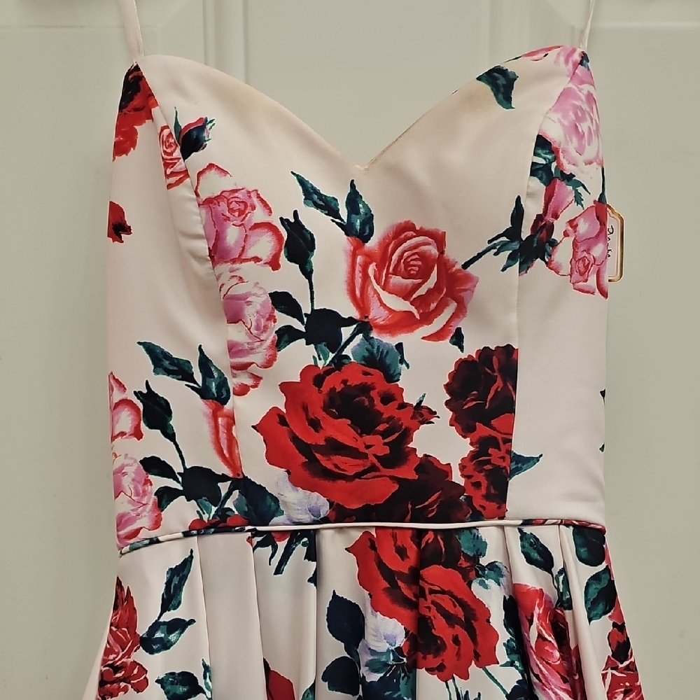 Rose, Prom, Dance, Bride, Wedding, Summer, Ball, Formal, Maxi, Corset, Girly